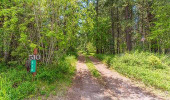 510 Swan Hill Rd, Bigfork, MT 59911