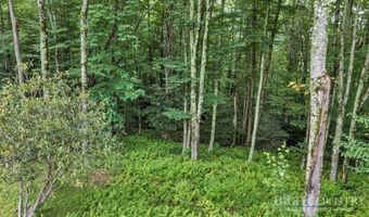 Featherwood Trail, Banner Elk, NC 28604