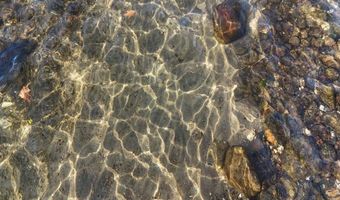 7701 Lake John Dr, Annandale, MN 55302