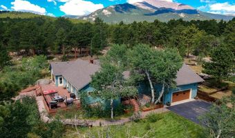 338 County Road 84 W, Allenspark, CO 80510