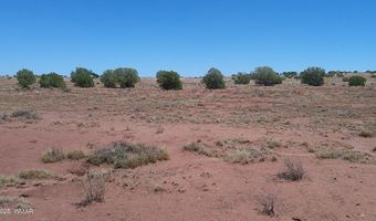 Tbd Ranch of the White Mountains10, Concho, AZ 85924