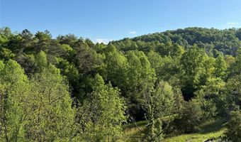 15 Woodchuck Cv, Alexander, NC 28701