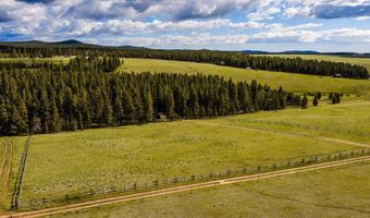 128 Piton Pl, Buffalo, WY 82834