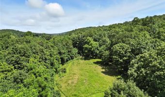 24760 Highway 21, Annapolis, MO 63620