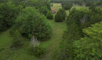428665 E 1920 Rd, Antlers, OK 74523