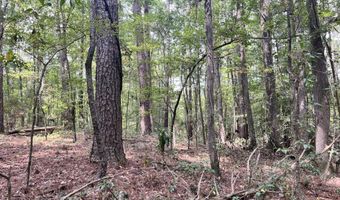Brock Cir, Brandon, MS 39042