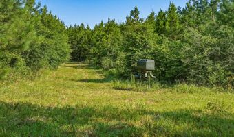 Harry Priddy Road, Americus, GA 31719