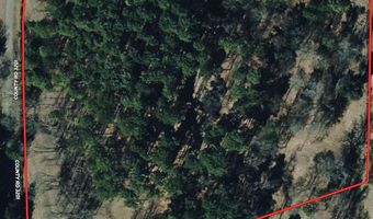 0 CR 3201 & CR 3203, De Kalb, TX 75559