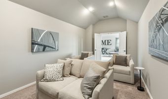 809 Twin Pine Ct, Anna, TX 75409