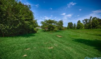 22724 Cairo Hollow Rd, Athens, AL 35614