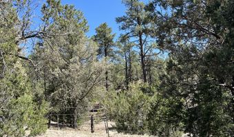 2664 Nm-12, Aragon, NM 87820