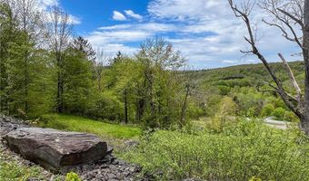State Route 28 lot # 10, Andes, NY 13731