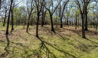 Tbd Blue Grouse Lane, Afton, OK 74331
