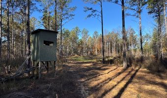 Hwy 9, Bruce, MS 38915