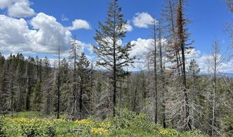 Tbd Nwne DEER HAVEN Road, Bondurant, WY 82922