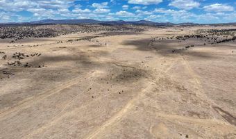New Mexico 246, Capitan, NM 88316