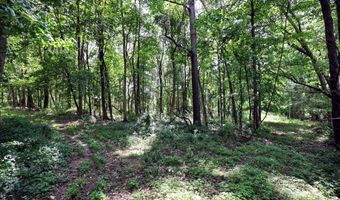 25270 B Dr S, Albion, MI 49224