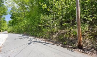 Hagaman Lane lot E-2, Andersonville, TN 37705
