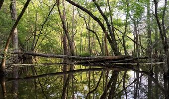 AMBOY RD, Arabi, GA 31712