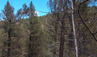 1077 Roland Dr Lot 3, Bailey, CO 80421