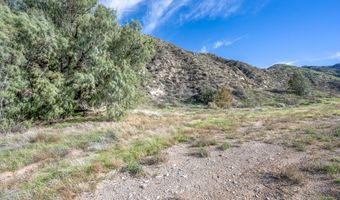 12571 Capra, Agua Dulce, CA 91390