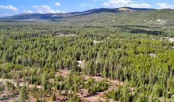 181 E Deer Meadow Ln, Blanchard, ID 83804