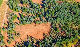 NW Lodge Rd, Banks, OR 97106