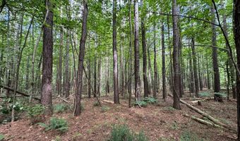 Holiday Lake Road, Appomattox, VA 24522