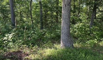750 HICKORY CORNER Rd, Augusta, WV 26704