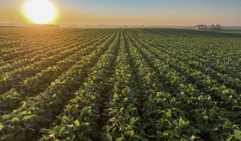 290 Th St, Aplington, IA 50604