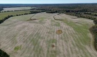 Beck Springs, Ashland, MS 38603