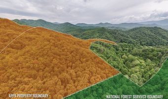 399 Shell Stand Rd, Almond, NC 28702