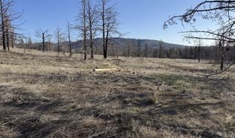 31763 Godowa Springs Rd, Beatty, OR 97621
