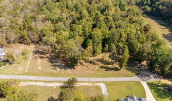 MARIAH Ln, Bath Springs, TN 38311