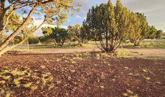 16 Clubhouse Ln, Concho, AZ 85924