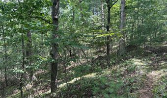 Lot 24 MT SNOW COURT, Basye, VA 22810
