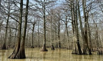 Putnam Road, Belzoni, MS 39038