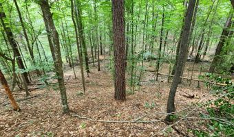 Tbd NE Bahalia Road, Brookhaven, MS 39601