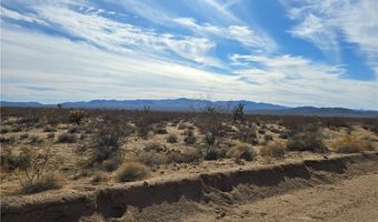 320 Acres W Brittlebush Dr, Yucca, AZ 86438