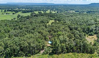 425 Hartwick Ln, Atkins, AR 72823