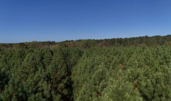 01 Goose Platter Rd, Batesburg, SC 29006