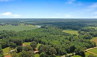0 Cotton Grove Rd, Beech Bluff, TN 38313