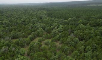 428665 E 1920 Rd, Antlers, OK 74523