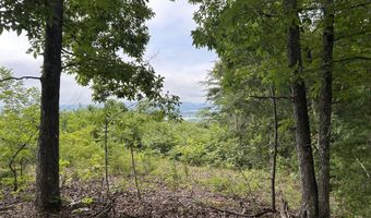 Megans Tr lot 69, Bean Station, TN 37708