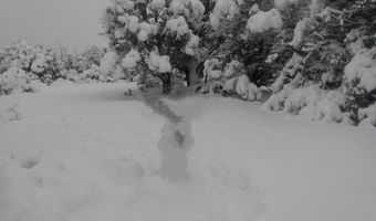 49 Norma Way, Ash Fork, AZ 86320