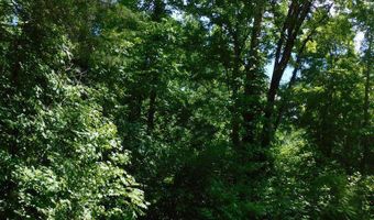 98 63 AC Pointer Rd, Alton, VA 24520