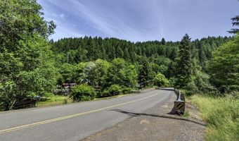 71624 Fishhawk Rd, Birkenfeld, OR 97016