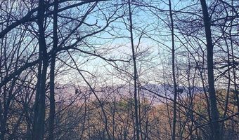 Tbd Strawberry Branch, Scaly Mountain, NC 28775
