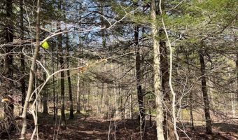 106 Road, Alma, NY 14708