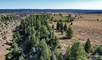 1780 Sadorus Hill Rd, Ashton, ID 83420